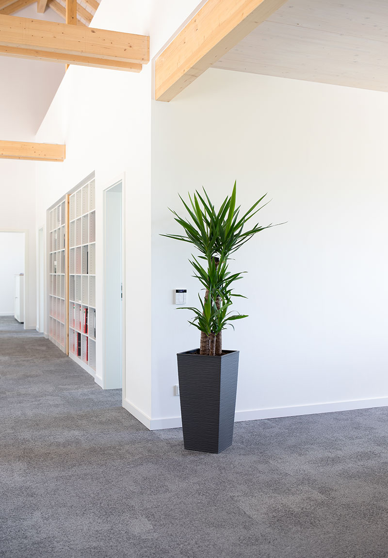 Bildergalerie Bildergalerie